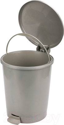 Мусорное ведро Альтернатива Эконом / М7250