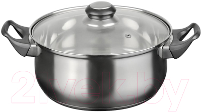 Кастрюля Astell RW1201-LQ-24C - фото