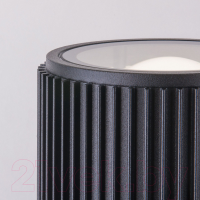 Бра уличное Elektrostandard Strict 1403 Techno