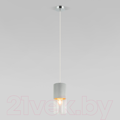 Потолочный светильник Евросвет 50233/1 (серебро) - фото