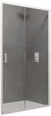 Душевая дверь RGW PA-14 W / 41081410-15 - фото