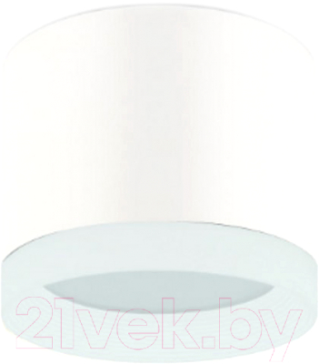 Точечный светильник ЭРА OL17 GX53 WH / Б0049044 - фото