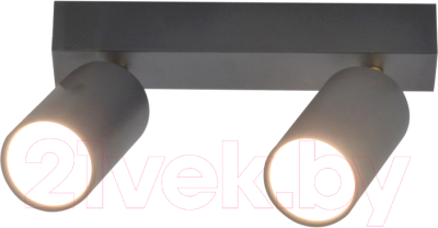 Спот Mirastyle SX-20644-2 BK+YB - фото