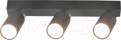 Спот Mirastyle SX-20644-3 BK+YB - фото