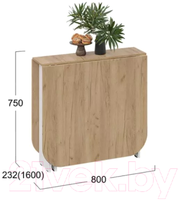 Стол-книга ТриЯ Т1