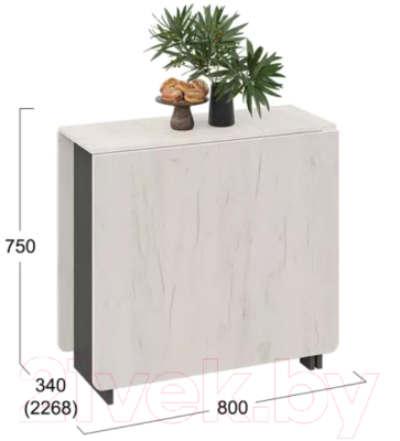 Стол-книга ТриЯ Тип 2 (антрацит/дуб крафт белый)