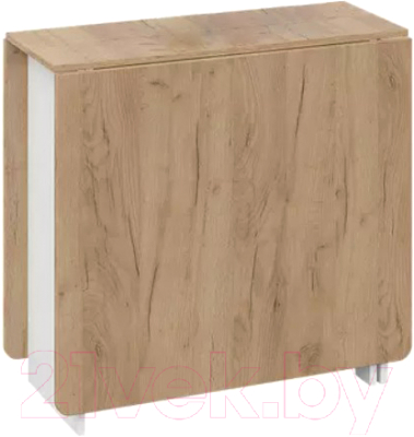 Стол-книга ТриЯ Тип 2  - фото