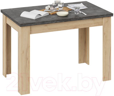 Обеденный стол ТриЯ Промо тип 4