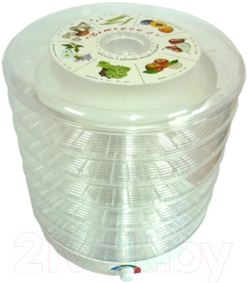 Сушилка для овощей и фруктов Спектр-Прибор Ветерок-2 ЭСОФ2-0.6/220 / slkpp20 (с поддоном для пастилы) - фото