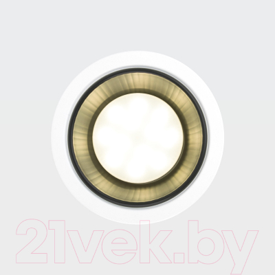 Точечный светильник Elektrostandard 1070 GX53 WH/BK