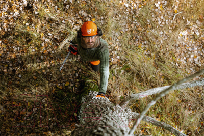 Бензопила цепная Husqvarna 450 II 15