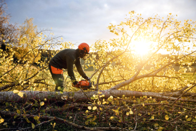 Бензопила цепная Husqvarna 450 II 15