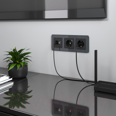 Розетка Werkel RJ-45 6 Cat W1181308 / a056112