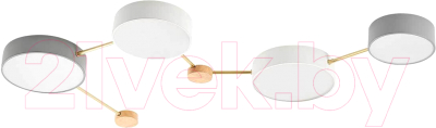 Люстра Evoluce Dossena SLE600102-04 - фото