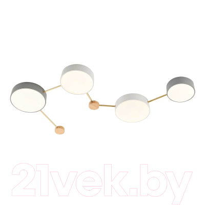 Люстра Evoluce Dossena SLE600102-04