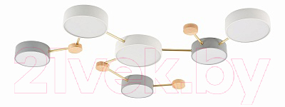 Люстра Evoluce Dossena SLE600102-06 - фото