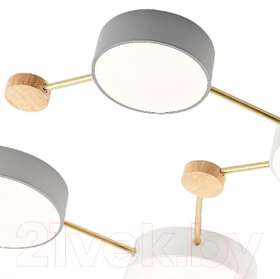 Люстра Evoluce Dossena SLE600102-08
