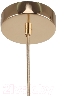 Потолочный светильник FAVOURITE F-Promo Sheen 2759-1P