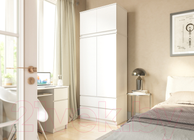 Шкаф ДСВ Мори МШ 900.1/2