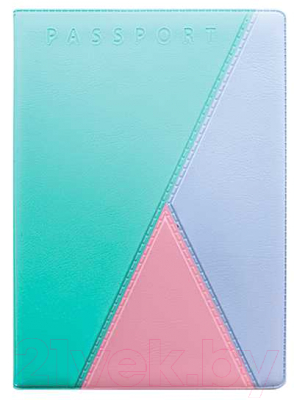 Обложка на паспорт DPS Трио / 2203.ТР-118 - фото