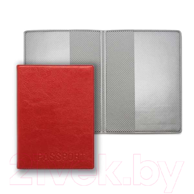 Обложка на паспорт DPS Passport / 2203.И-202 - фото
