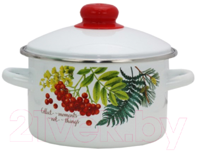 Набор кастрюль Эмаль Рябинка 2-3205/4