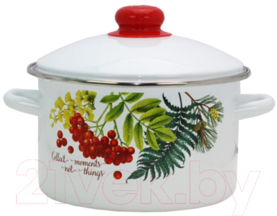 Набор кастрюль Эмаль Рябинка 2-3205/4