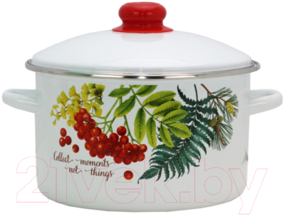 Набор кастрюль Эмаль Рябинка 2-3205/4