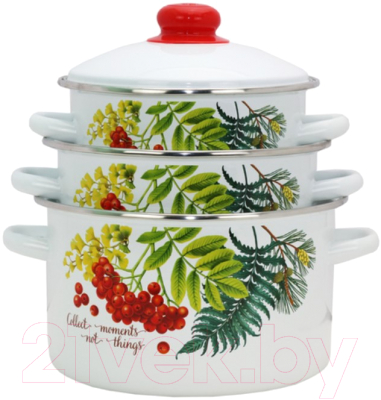 Набор кастрюль Эмаль Рябинка 2-3205/4