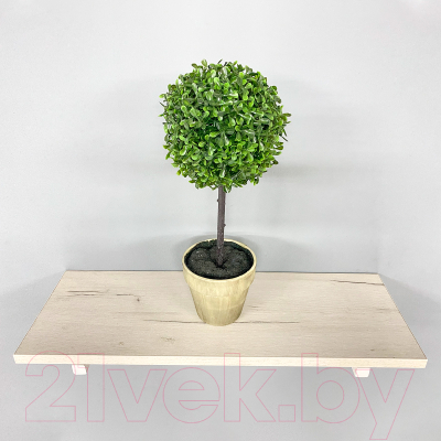 Полка Millwood Настенная с кронштейном 40x20 (дуб белый Craft/белый)