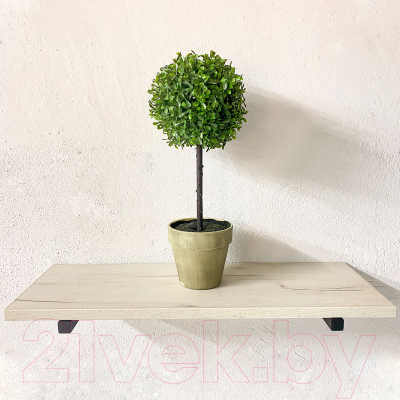 Полка Millwood Настенная с кронштейном 80x20 (дуб белый Craft/черный)