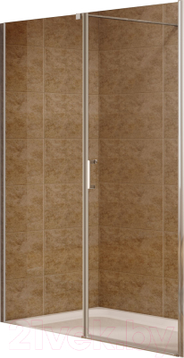 Душевая дверь Aquanet Cinetic 90x90 / 254242 - фото