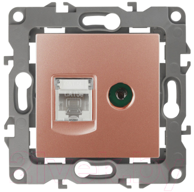 Розетка ЭРА 12-3110-14 / Б0027449 - фото