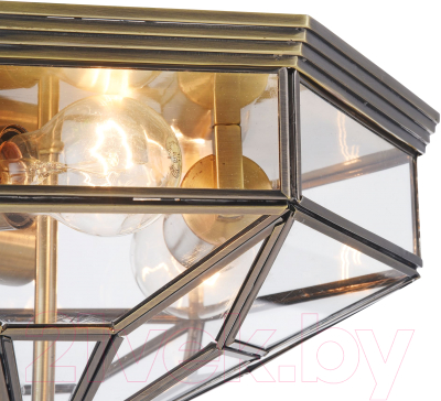 Потолочный светильник Maytoni Zeil H356-CL-03-BZ