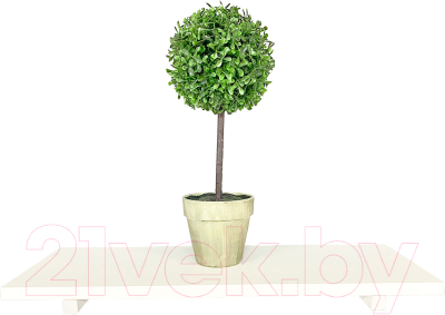 Полка Millwood Настенная с кронштейном 40x20 (белый/белый)