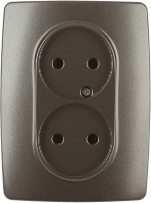 Розетка ЭРА 12-2107-13 / Б0031245 - фото