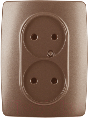 Розетка ЭРА 12-2107-14 / Б0031246 - фото