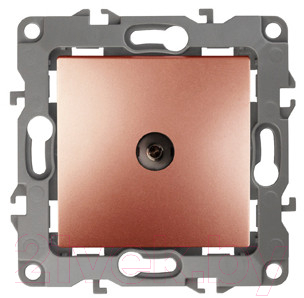 Розетка ЭРА 12-3101-14 / Б0019341 - фото