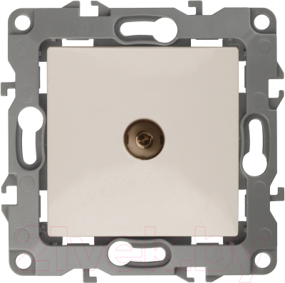 Розетка ЭРА 12-3102-02 / Б0027432 - фото