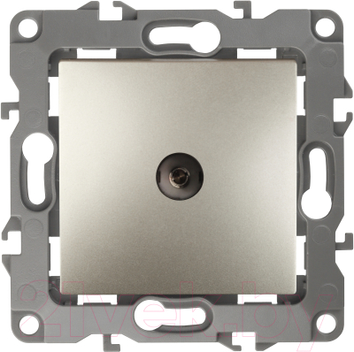 Розетка ЭРА 12-3102-04 / Б0027434 - фото