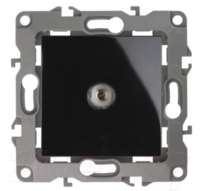 Розетка ЭРА 12-3102-06 / Б0027436 - фото