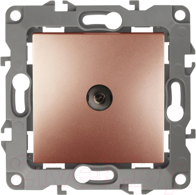 Розетка ЭРА 12-3102-14 / Б0027439 - фото