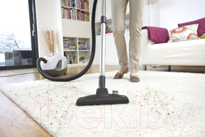 Пылесос Karcher DS 6 Premium Plus White