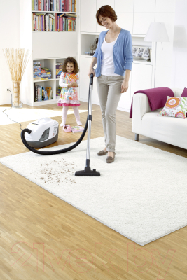 Пылесос Karcher DS 6 Premium Plus White