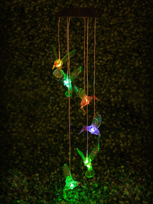 Садовая гирлянда ArtStyle Колибри CL-S18M - фото