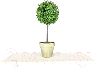 Полка Millwood Настенная с кронштейном 80x20 (белый/белый)