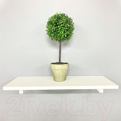 Полка Millwood Настенная с кронштейном 100x20 (белый/белый)