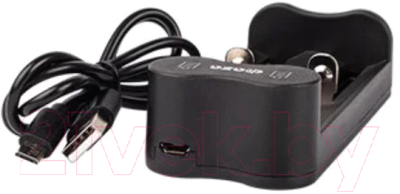 Зарядное устройство для аккумуляторов Фаза L-71 USB