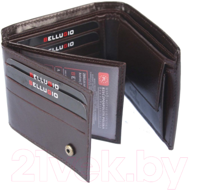 Портмоне Bellugio AM-21R-059