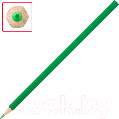 Набор цветных карандашей Пифагор Веселая такса / 181806